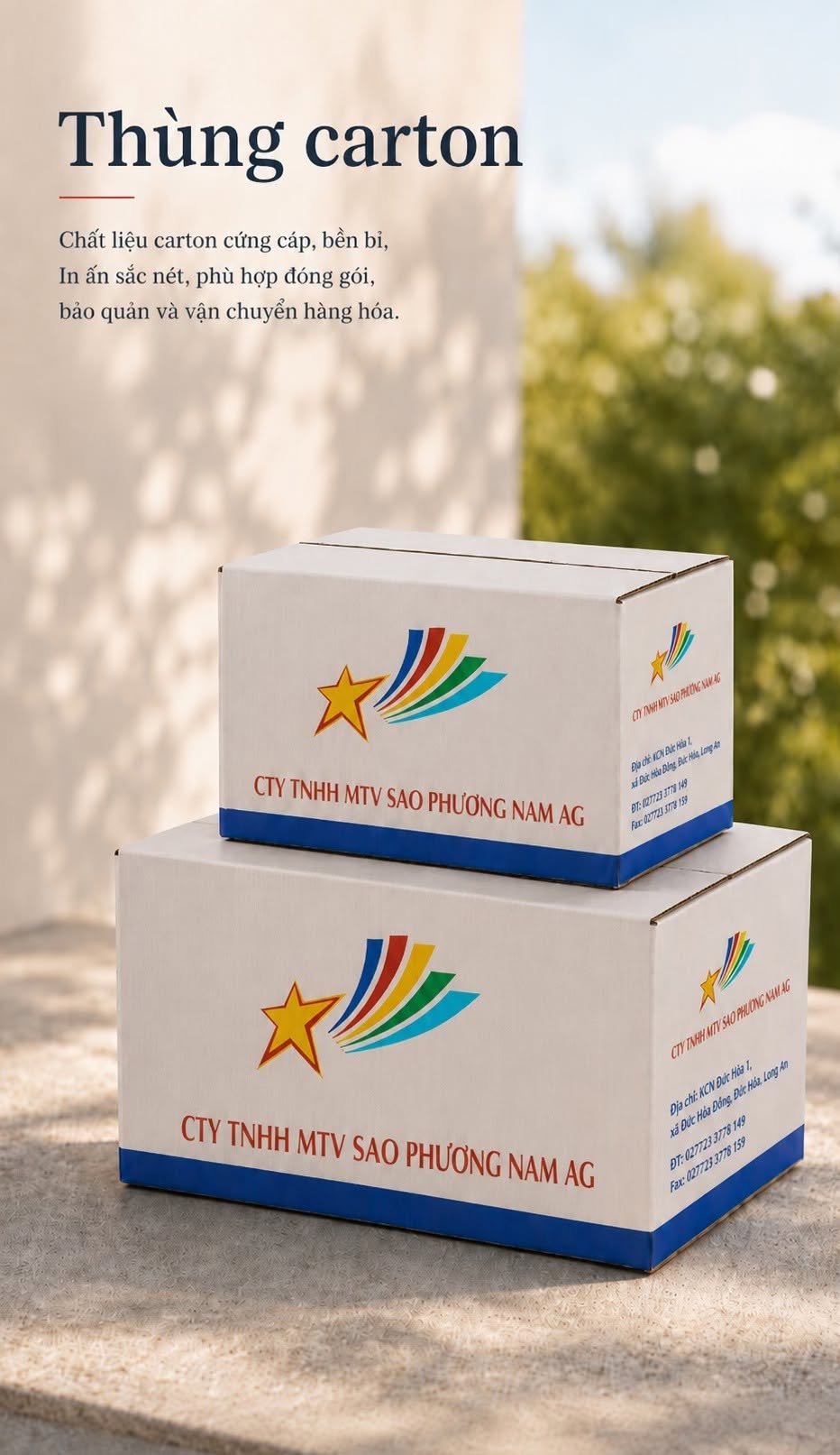 Hộp Carton và Decal
